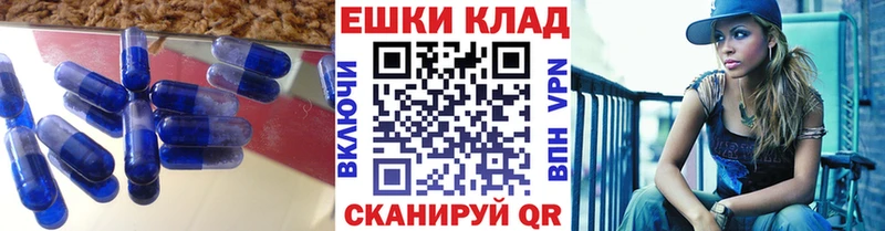 MEGA зеркало  сайты даркнета формула  ЭКСТАЗИ 300 mg  Губкин 
