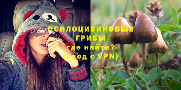 а пвп мука Баксан