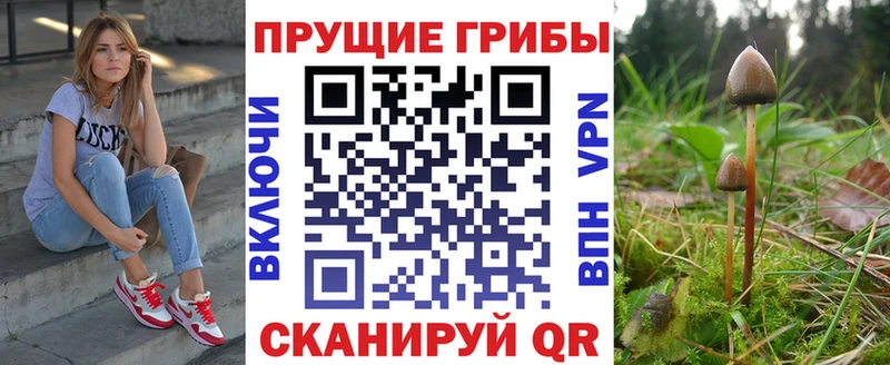 Псилоцибиновые грибы Psilocybine cubensis  Губкин 